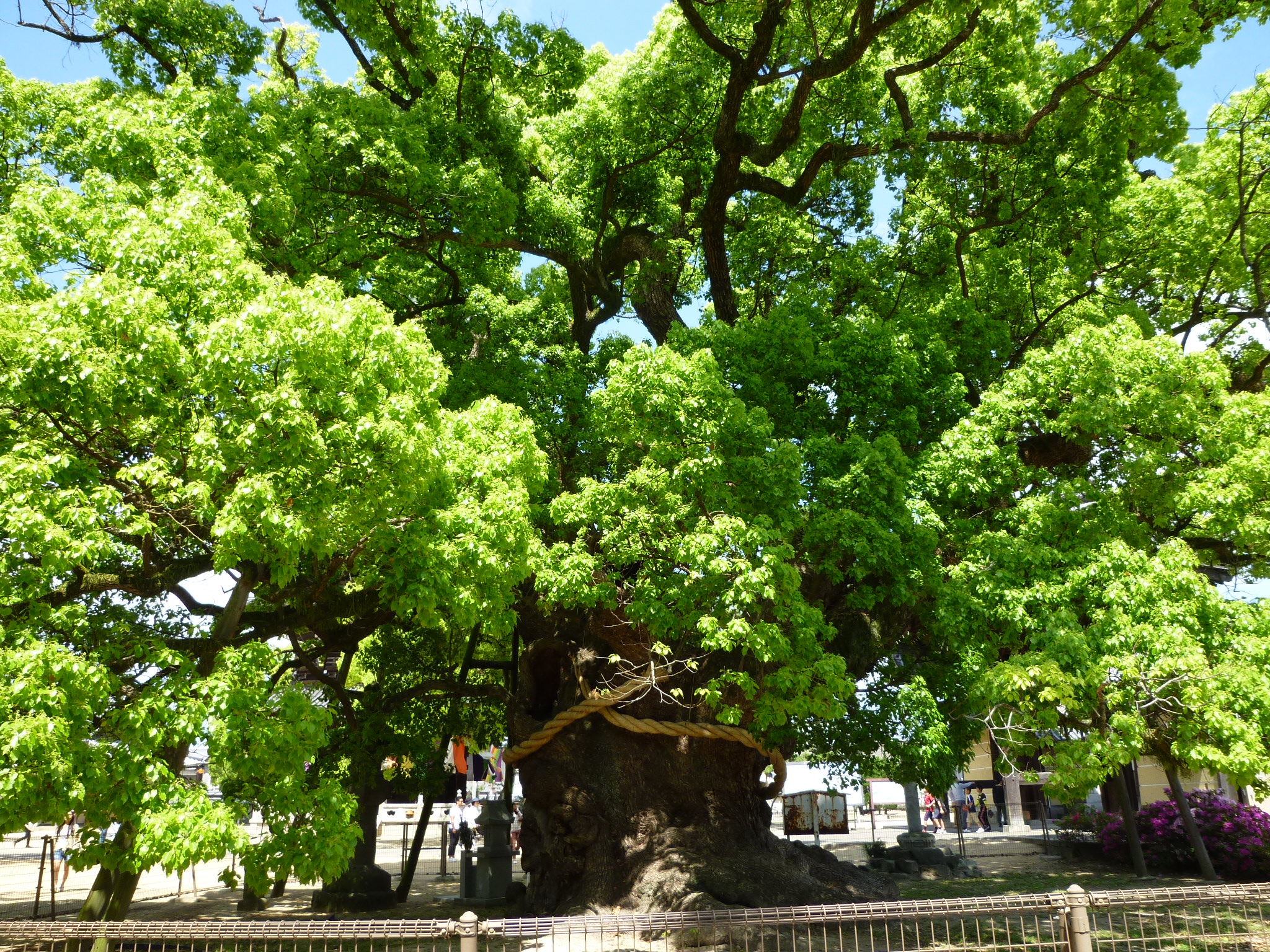 CADの練習 - ダブル・ディベロップメント